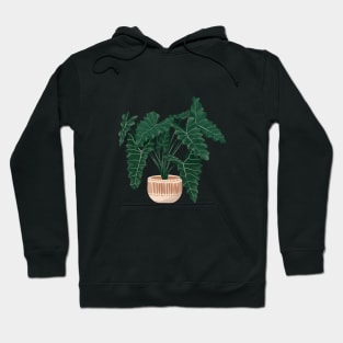 Philodendron Xanadu illustration Hoodie